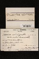 Image Associated With the Occurrence