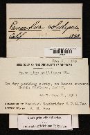 Image Associated With the Occurrence