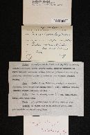 Conocybe albipes image