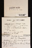 Conocybe albipes image