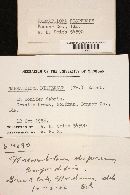 Image Associated With the Occurrence