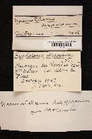 Image Associated With the Occurrence