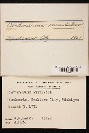 Cortinarius annulatus image