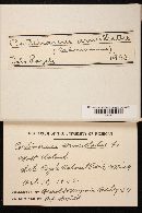 Cortinarius armillatus image