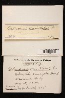 Cortinarius armillatus image