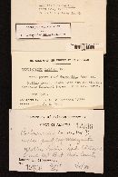 Media resource of Cortinarius basalis