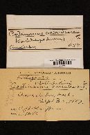 Image Associated With the Occurrence