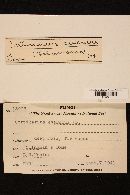 Cortinarius evernius image