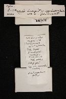 Cortinarius incognitus image