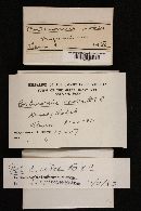 Cortinarius iodes image