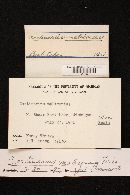 Cortinarius malicorius image