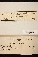 Image Associated With the Occurrence