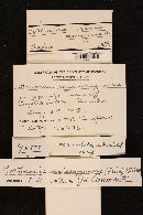 Cortinarius semisanguineus image