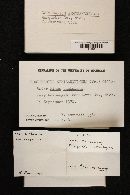 Cortinarius semisanguineus image