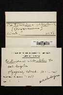 Cortinarius vibratilis image