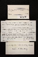 Gymnopilus sapineus image