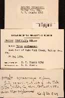 Image Associated With the Occurrence