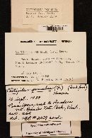 Thumbnail image of current specimen