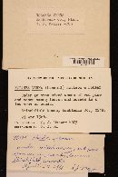 Entoloma vernum image