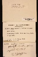 Entoloma vernum image