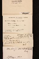 Rhodocybe popinalis image