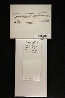 Gomphidius glutinosus image