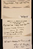 Russula compacta image