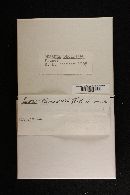 Thumbnail image of current specimen