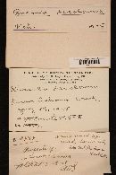 Russula decolorans image