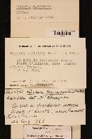 Image Associated With the Occurrence