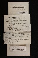 Russula livescens image