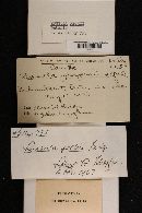 Image Associated With the Occurrence