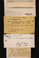 Russula pulverulenta image