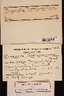 Thumbnail image of current specimen