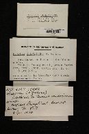 Image Associated With the Occurrence