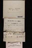 Thumbnail image of current specimen