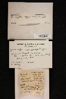 Russula xerampelina image