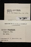 Russula xerampelina image