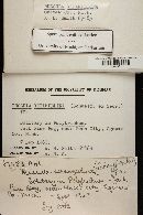 Russula xerampelina image