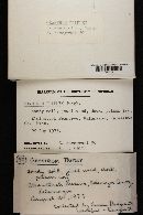 Geastrum triplex image