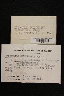 Image Associated With the Occurrence