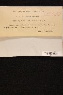 Image Associated With the Occurrence