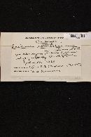 Albotricha albotestacea image