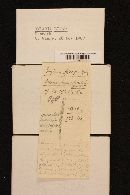 Thumbnail image of current specimen