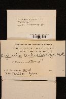 Xylaria schweinitzii image