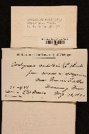 Cordyceps militaris image