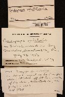 Cordyceps militaris image