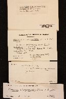 Elaphocordyceps ophioglossoides image