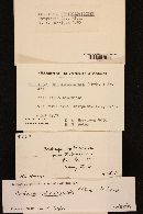 Elaphocordyceps ophioglossoides image