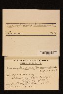 Media resource of Ascophanus brunneus